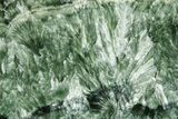 Polished Seraphinite Slab - Korshunovkiy Mine, Siberia #378142-1